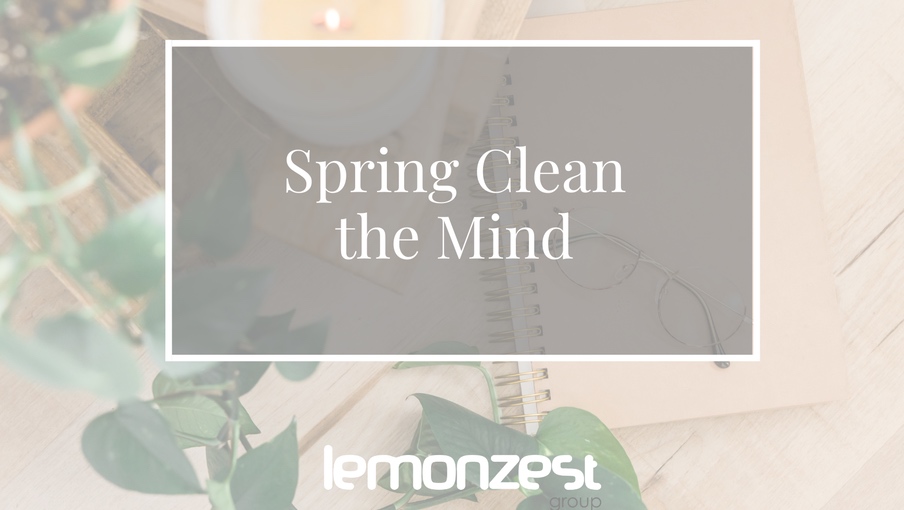 lemonzest: sping clean the mind